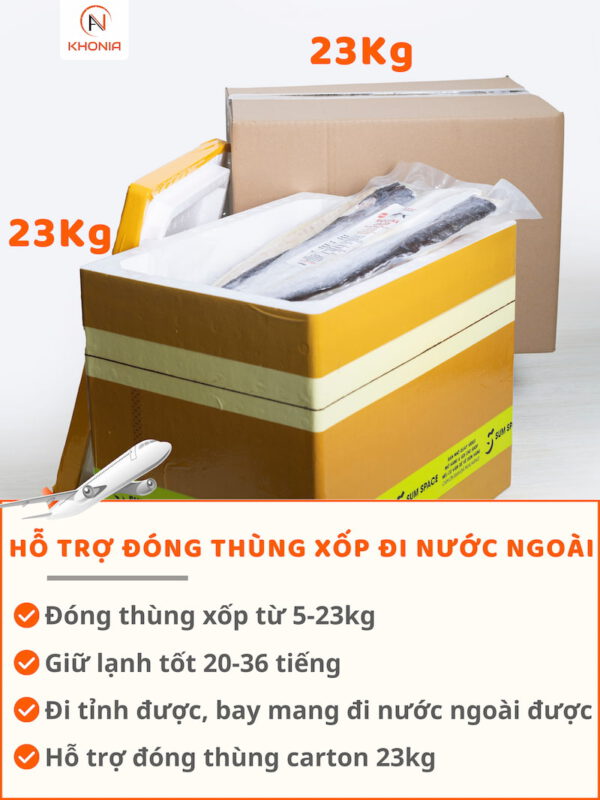THÙNG XỐP + CARTON (4)