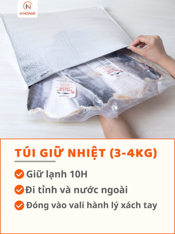 TÚI GIỮ NHIỆT (4)