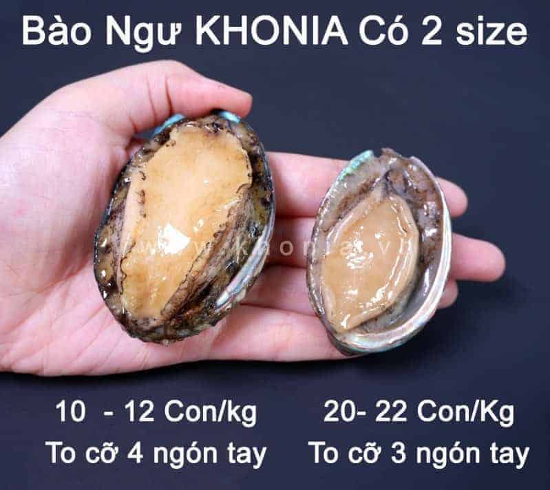 bao-ngu-tuoi-han-quoc-8