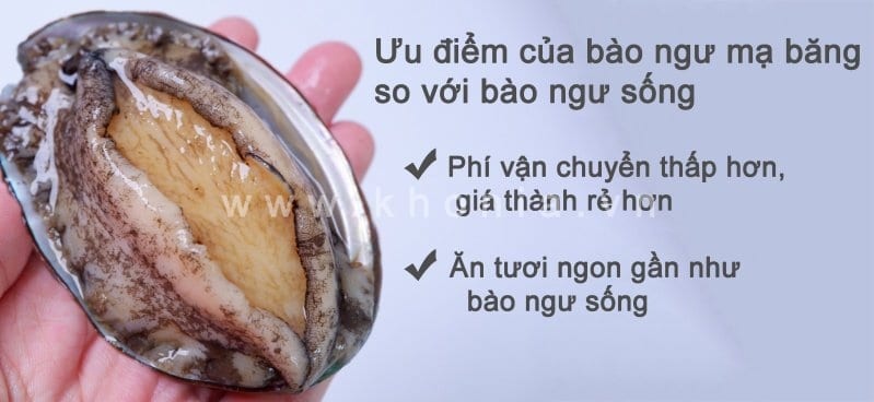 bao-ngu-tuoi-han-quoc-7