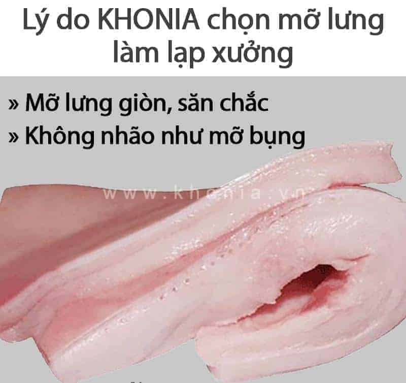 lap-xuong-it-mo-9992